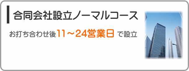 会社設立ノーマルコース