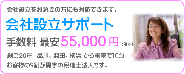 会社設立代行 手数料55000円