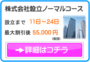 株式会社設立ノーマルコース
